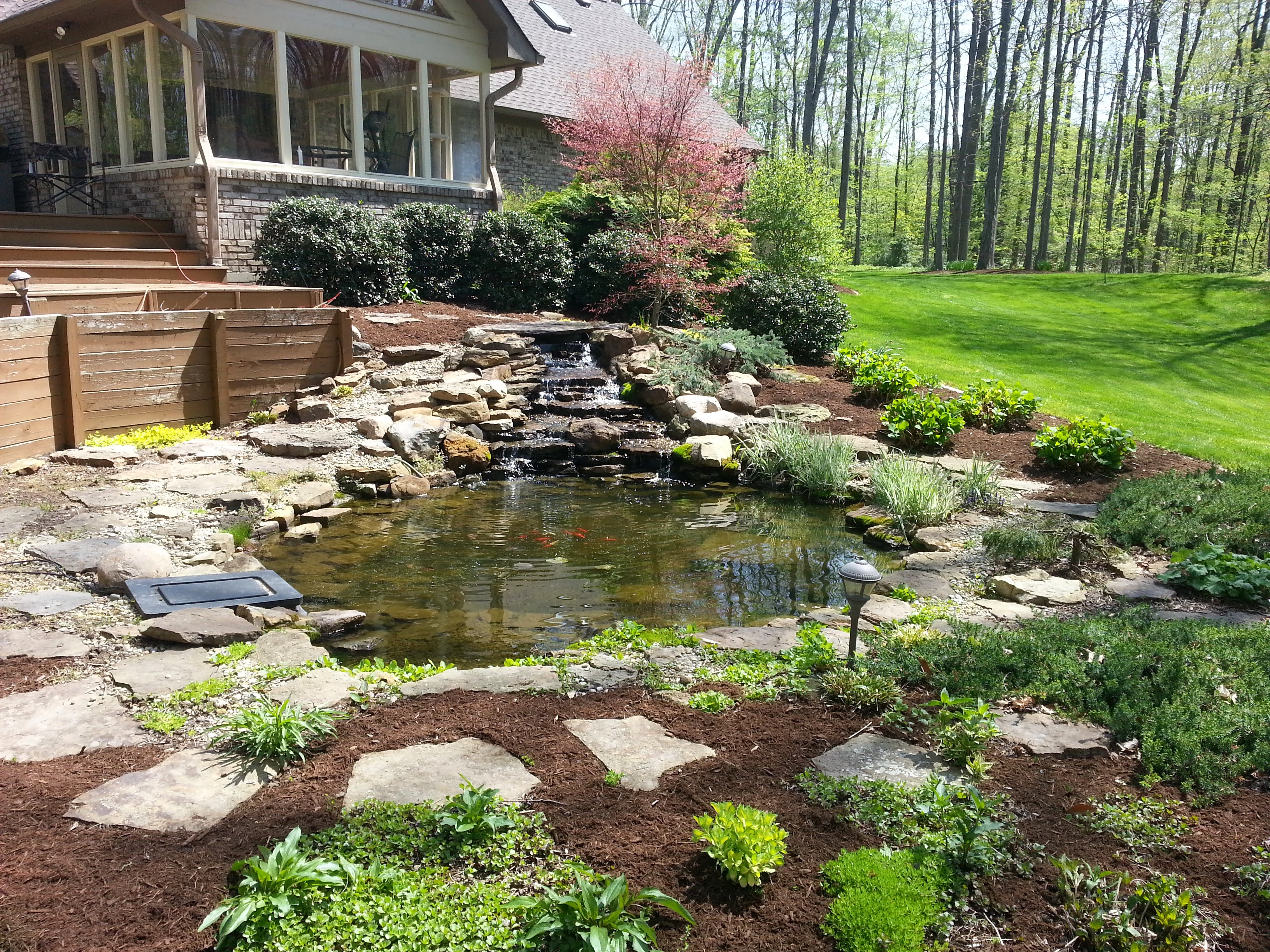 Pond 1