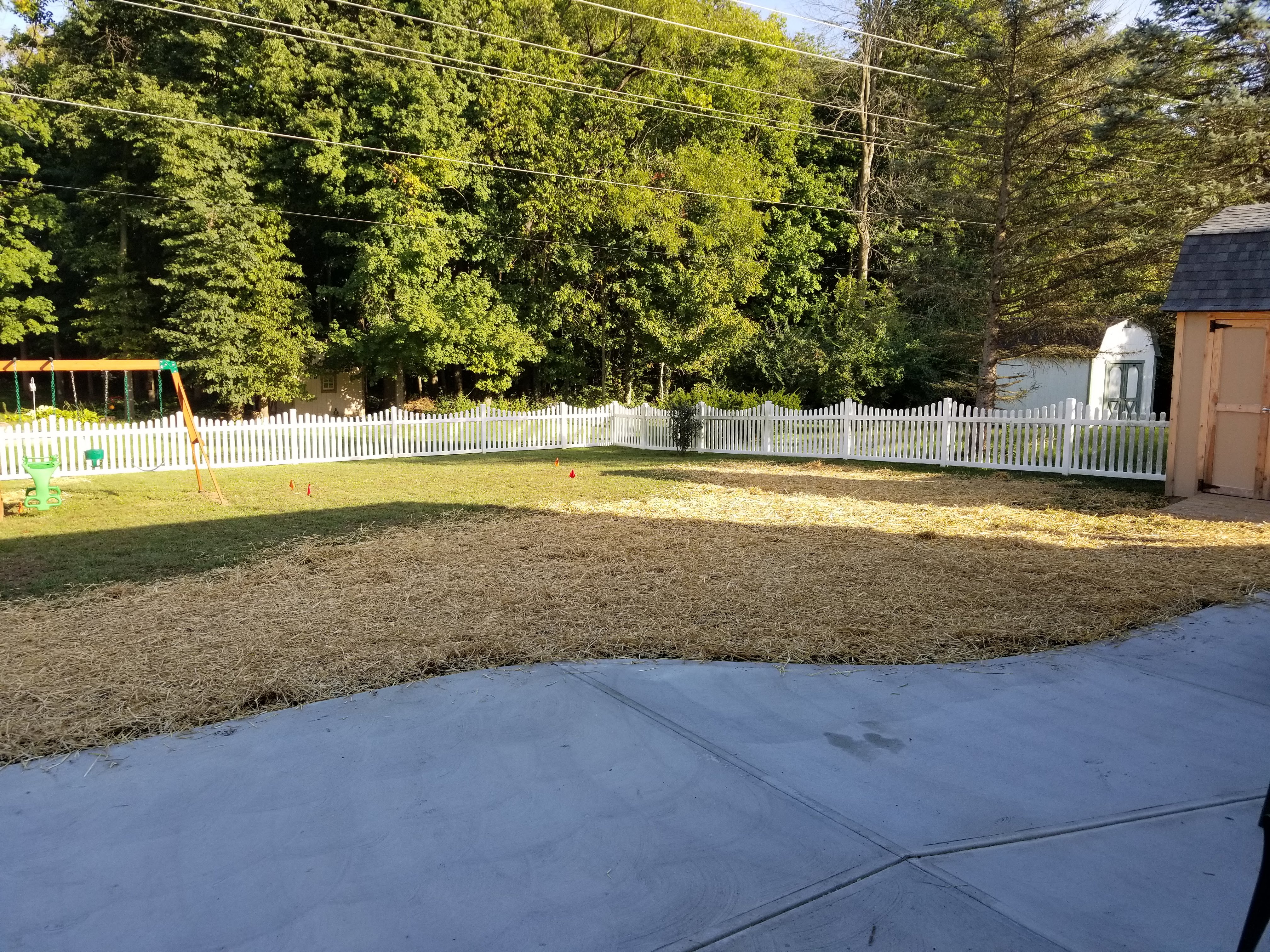 Sod Repair 1